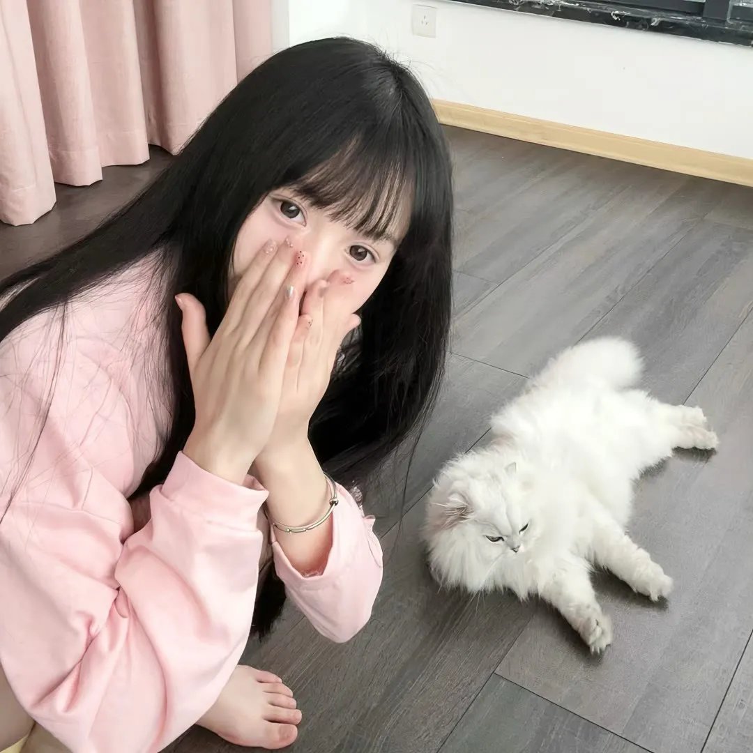 憨姑爷粤语